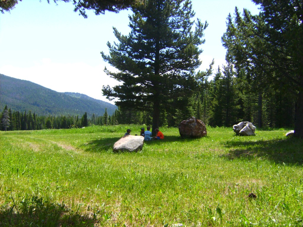 the meadow at Bohart Ranch