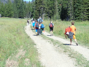 sunny meadow morning, heading for the trail shelter